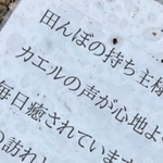 「カエルの声が心地よく」この貼り紙は一体…？（提供画像）