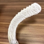 これは一体なんでしょうか…（でんかさん提供）