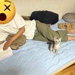 子猫ちゃんと遊ぶ誘惑をふり切って…勉強できるのかッ！？　画像提供：ざっきぃさん