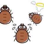 ダニに注意！（ゆりゆりのゆり/stock.adobe.com)
