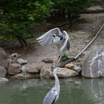 同じ写真ではありません（画像提供：おこめさん）