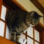しばらくキョトン顔に…（本田さん提供、動画よりキャプチャ撮影）