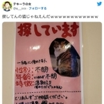 テキーラの女さんのツイッター投稿（スクリーンショット）