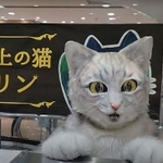 アルバイト猫ミクちゃん（画像提供：源田晃一氏）