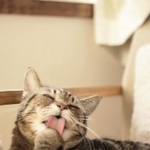 シニアだけど、お手入れは入念に＝___neko_toさん提供