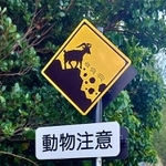 「ヤギによる落石注意」の道路標識＝東京都小笠原村父島（提供）