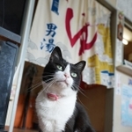 国分温泉のアイドル・幸（こう）ちゃん