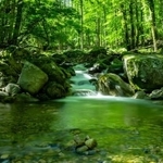 長野県南佐久郡川上村の千曲川源流（officeU1/stock.adobe.com）