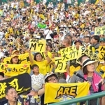 虎党が待ちわびた“アレ”の瞬間が…（※画像はイメージです。2023年9月9日撮影）