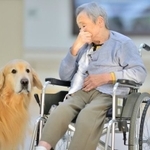 ペットと入居できる介護施設が多い都道府県は？　※画像はイメージです（godfather/stock.adobe.com）