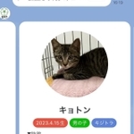 「キョトン」（奈良市公式LINEより）