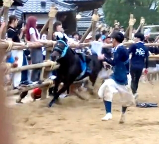 馬に飛び蹴りしようと並走する男性（提供）
