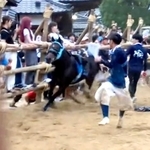 馬に飛び蹴りしようと並走する男性（提供）
