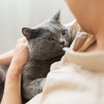 この子は私が育てます…　※画像はイメージです（One/stock.adobe.com）