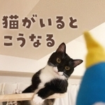 「猫がいるとこうなる」愛猫家が猫の日常あるあるを紹介した投稿が話題に（「ぽんひろ」さん提供、Instagramよりキャプチャ撮影）