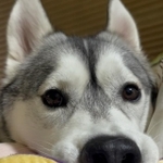 何を見つめているの？＝milk_chaco_peanutさん提供