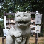 一対の狛猫のうち、子猫を抱く猫（京都府京丹後市峰山町泉・金刀比羅神社）