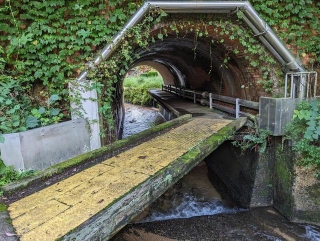 一面にびっしり貼られた点字タイルが余計に滑りそう＝よごれんさん（@yogoren）提供