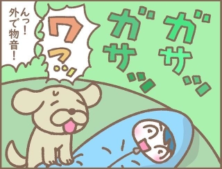 えっ…外で物音が！！
