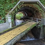 一面にびっしり貼られた点字タイルが余計に滑りそう＝よごれんさん（@yogoren）提供