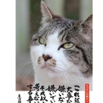 写真は、藪本さんが近所のネコを撮影したものという（「KADOKAWA」さん提供）