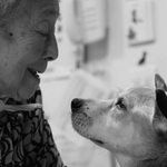 老人ホームの入居者を看取り続けてきた犬、文福（画像提供／石黒謙吾）
