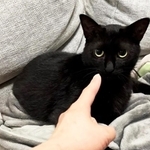 次第に環境に馴れていったシャ子