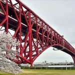 桜が咲く時季に港大橋臨港緑地から（画像提供：阪神高速道路株式会社）