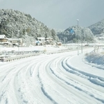踏みしめられた雪。布製タイヤチェーンが効果を発揮しそうです