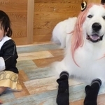 「SPY×FAMILY」のコスプレに挑戦！話題になっている写真（「山奥暮らしのシュシュ」Xアカウントより）