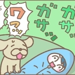えっ…外で物音が！！
