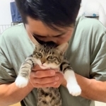 旦那からスリスリされる子猫の表情が話題に（koko230721さん提供、Instagramよりキャプチャ撮影）