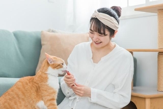 猫の一生でかかる費用はいくら？　※画像はイメージです（buritora/stock.adobe.com）