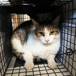 無事捕獲することができました