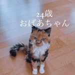 実家で母親と暮らす24歳の高齢猫が話題に（comsanさん提供、Instagramよりキャプチャ撮影）