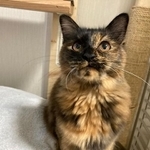 「次は何して遊ぶ？」＝c_chacha_365さん提供