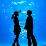 婚活男女に人気のデートは「水族館」　※画像はイメージです（photoAC）