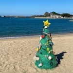 完成した「海のクリスマスツリー」（イドベタ提供）※一部トリミング