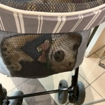 プリント柄？いえいえ本物のワンコです。＝ササミんさん（@wanwanmaturi）提供