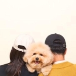 最初にXに投稿された、結婚記念の素敵な家族写真！「写真を撮る前に思いっきり遊んで、抱っこする時に気持ちグッと持ち上げてあげると、にっこりわんこがよく見えると思います」とポストしていた飼い主さん（画像提供：ポテチやでさん @potechi_yade）
