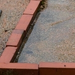 庭に水がたまっていると思ったら…　※画像はイメージです（kazuya asizawa/stock.adobe.com）