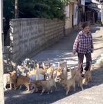 島民に集まる猫たち(倉瀬さん提供)