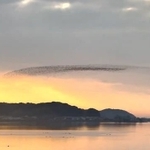 宍道湖の上を、龍のようなものが移動していきます（動画よりキャプチャ／提供：眼遊 GANYUさん）