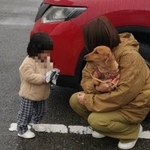 避難所の中に入れずペットと共に車中泊する人も多い