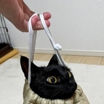 袋から顔だけ出すノアールちゃん（提供：ティグノアさん）