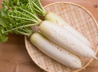 冷凍で約1カ月保存できる大根※画像はイメージです（promolink/stock.adobe.com）