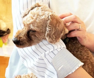 人の腕の中でスヤスヤ眠る姿が愛おしくてたまりません