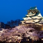 大阪城と夜桜（Paylessimages/stock.adobe.com）