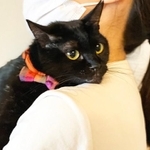三頭身体型がなんともかわいい黒猫ペコちゃん