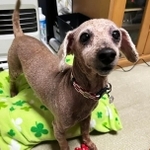 ケントは丸刈りになりました